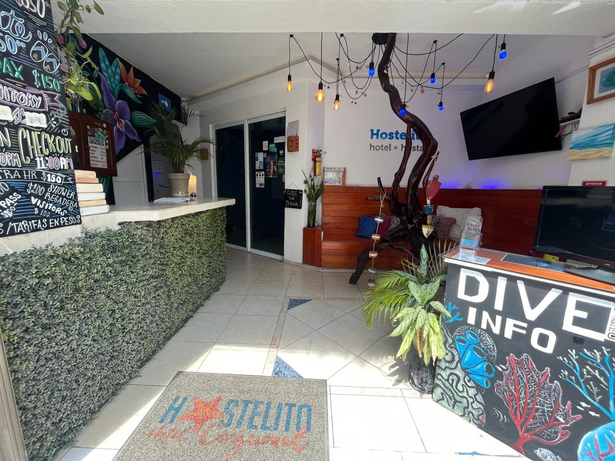 Hostelito Hotel Cozumel Dış mekan fotoğraf
