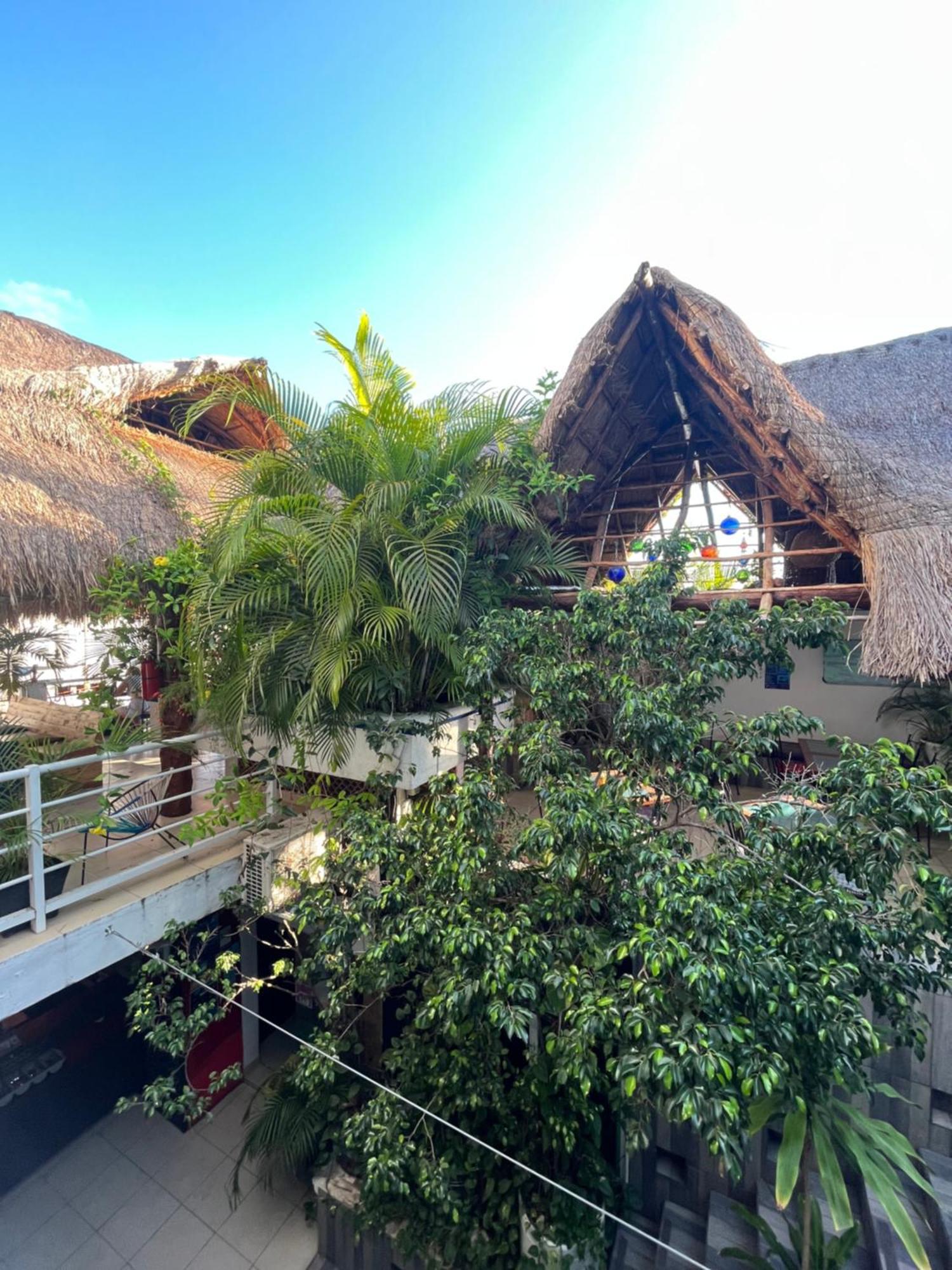 Hostelito Hotel Cozumel Dış mekan fotoğraf