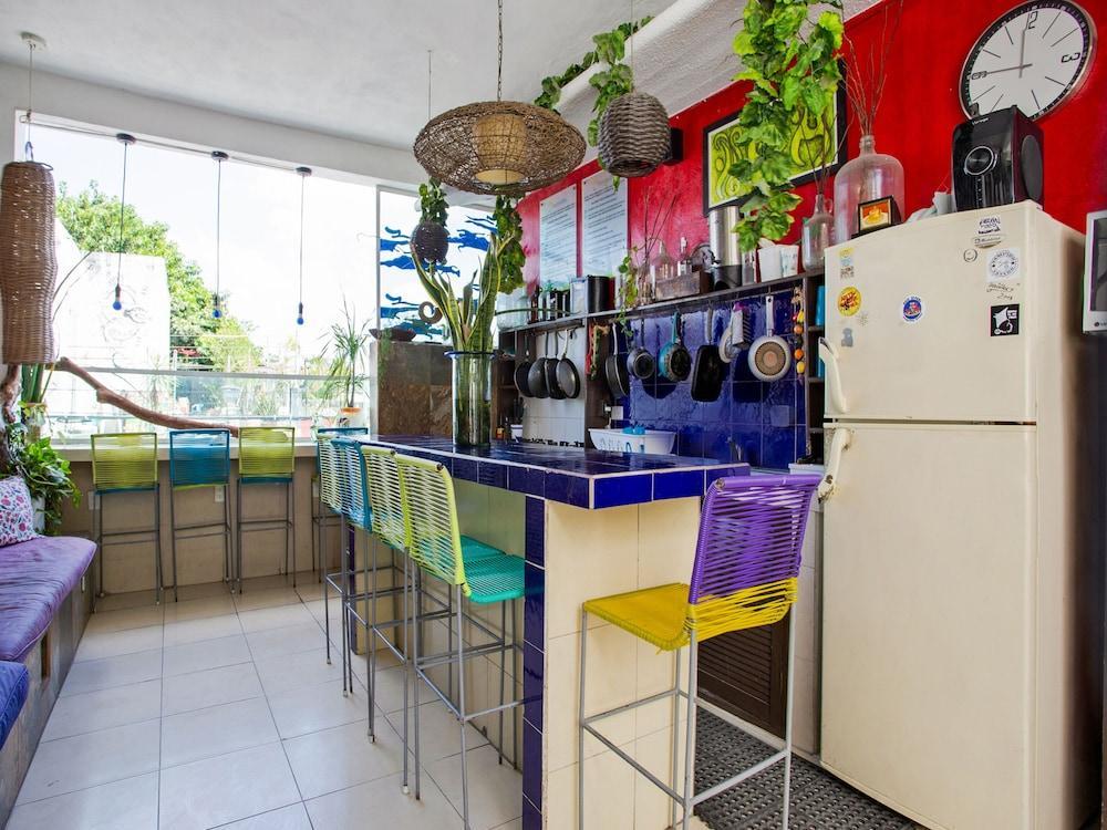 Hostelito Hotel Cozumel Dış mekan fotoğraf